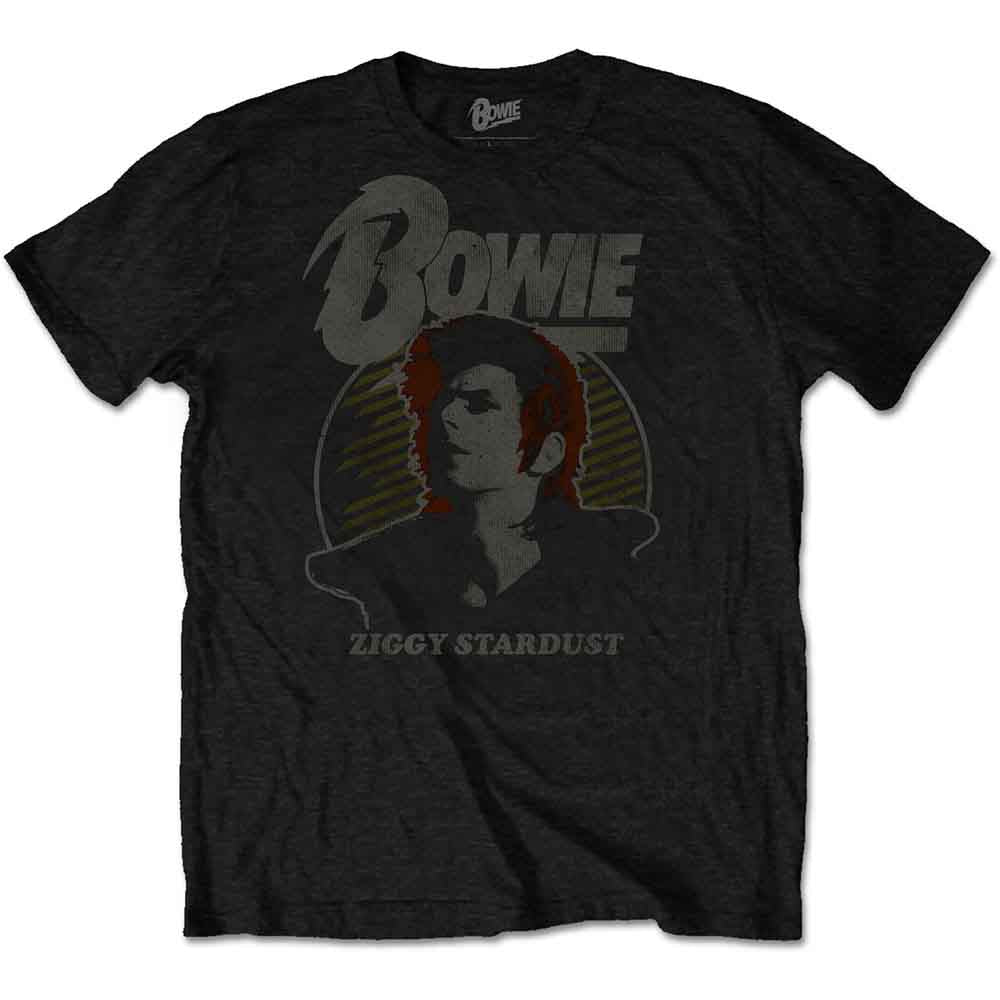 David Bowie T-Shirt: Vintage Ziggy