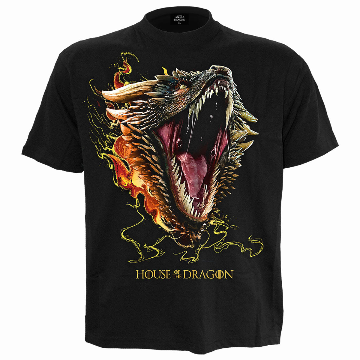 House of the Dragon T-Shirt: HOD2 Drogon