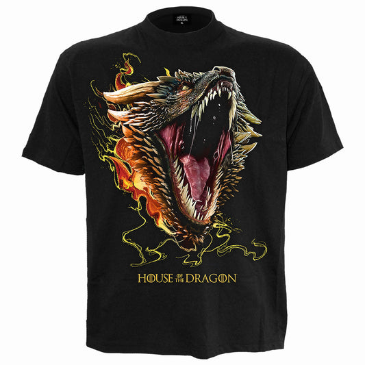 House of the Dragon T-Shirt: HOD2 Drogon