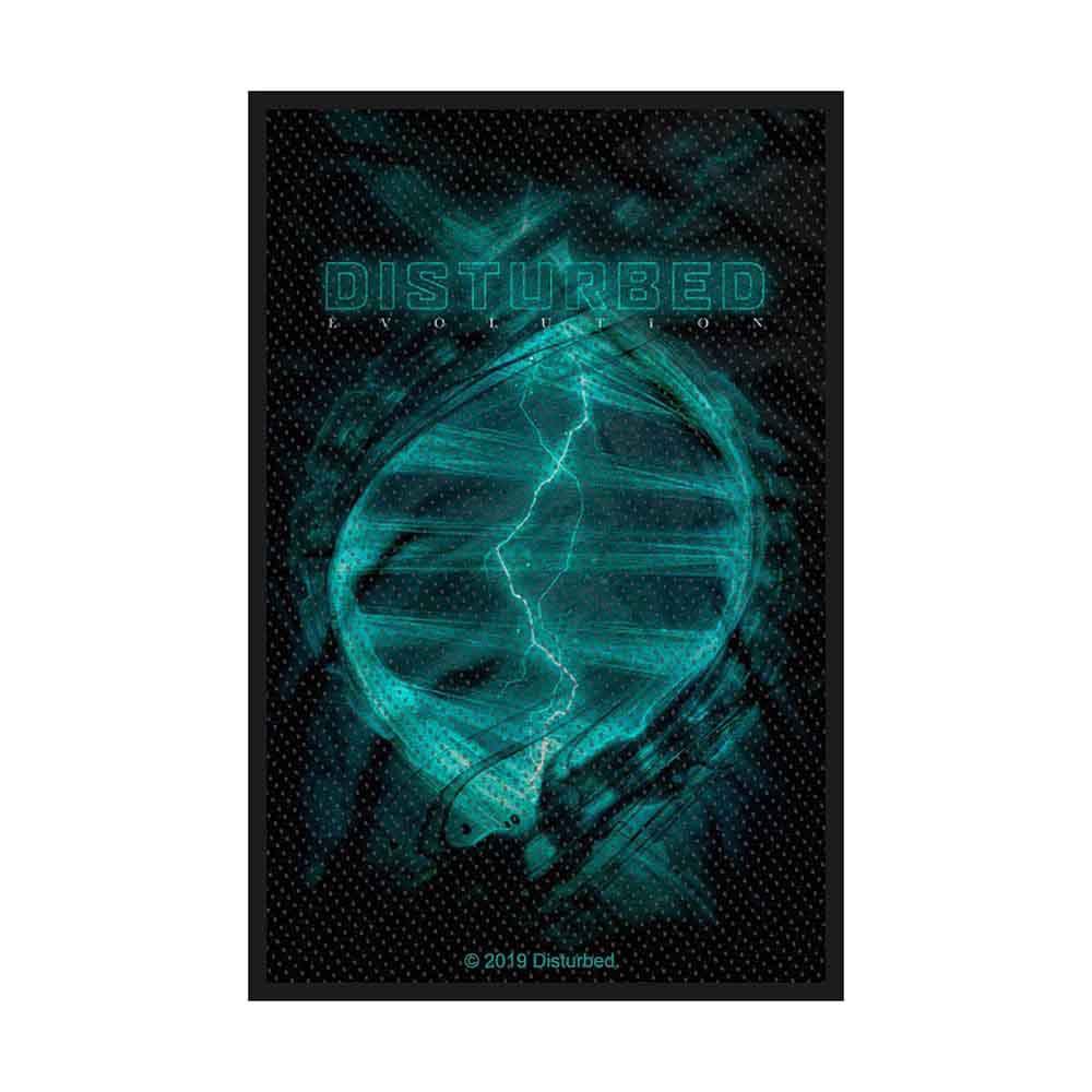 Disturbed Patch: Evolution