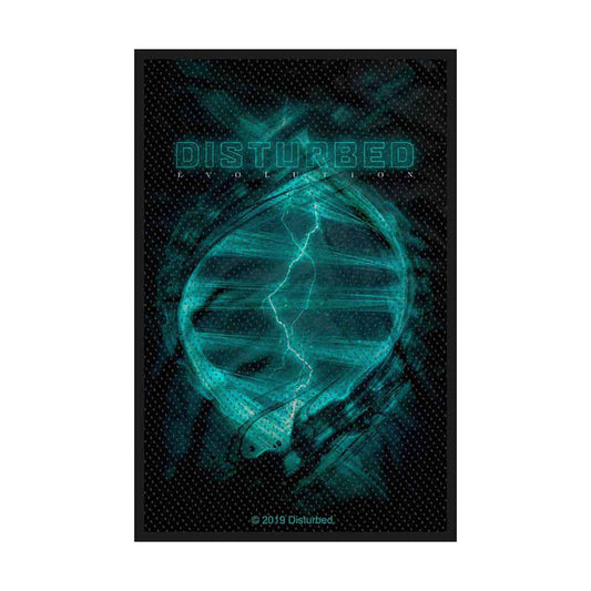 Disturbed Patch: Evolution