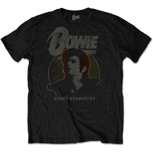 David Bowie T-Shirt: Vintage Ziggy