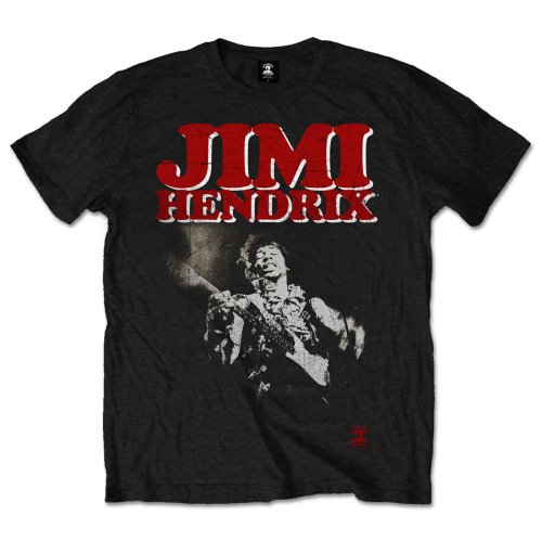 Jimi Hendrix T-Shirt: Block Logo