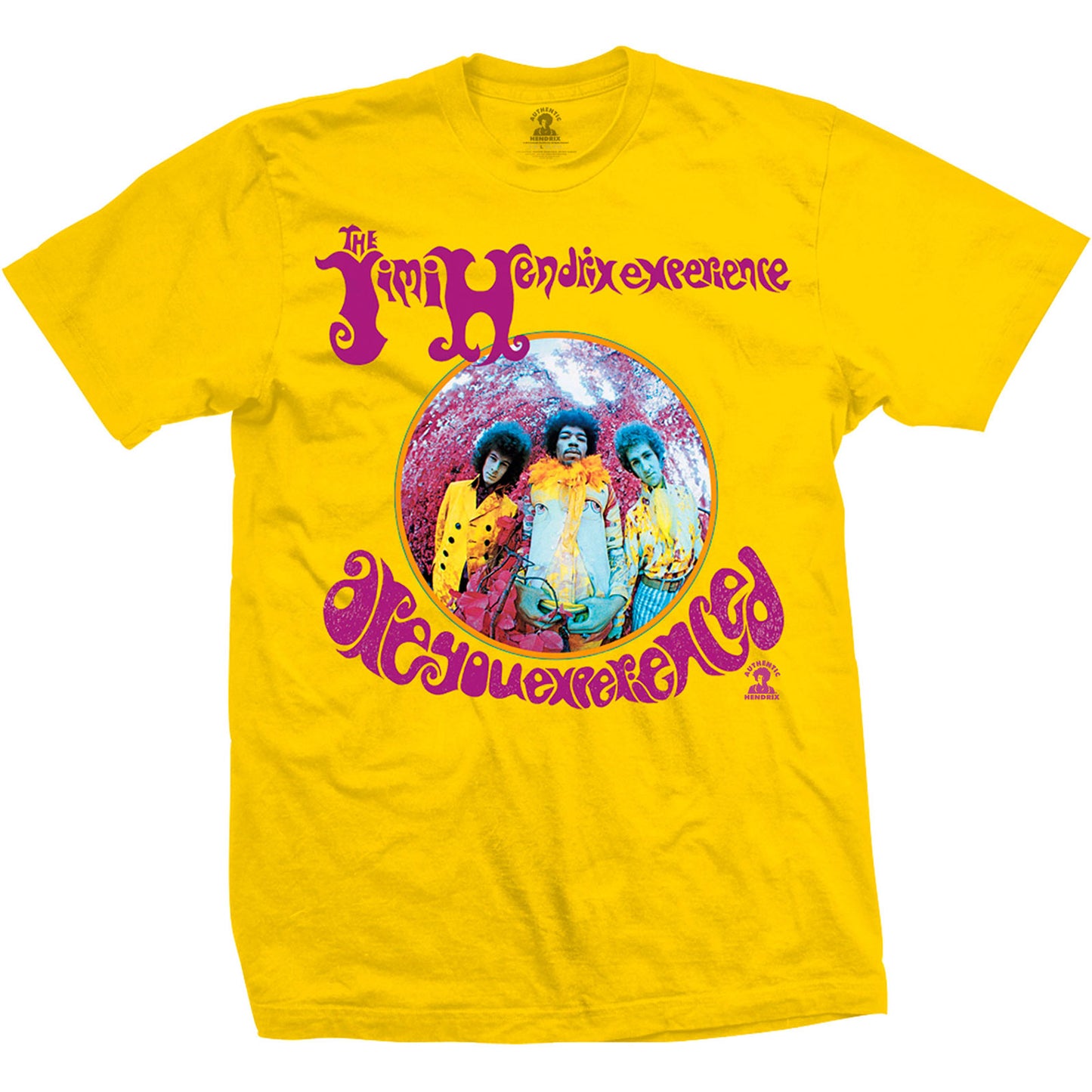 Jimi Hendrix T-Shirt: Are You Experienced?
