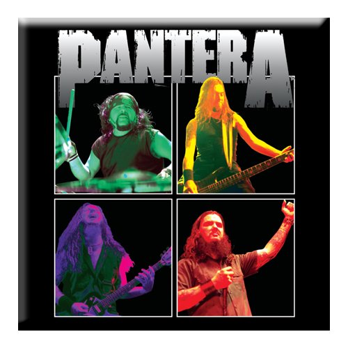 Pantera Magnet: Band Photo